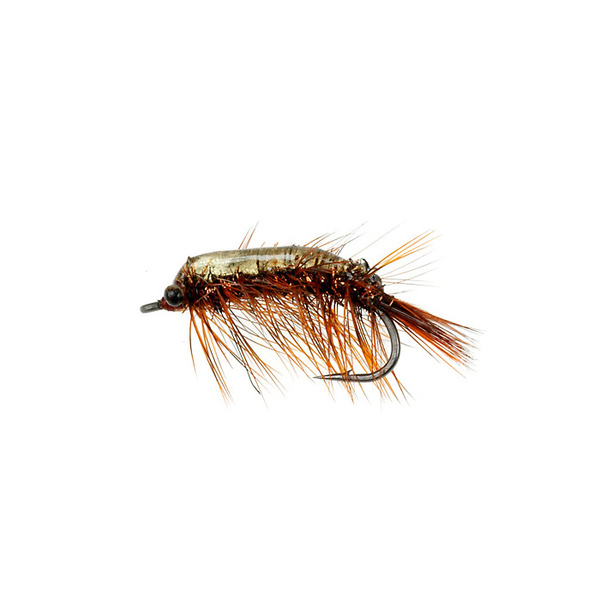 Locusta Dk. Marrón (413)