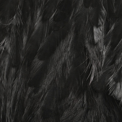 Hareline parche de plumas para hackle blando y marabú