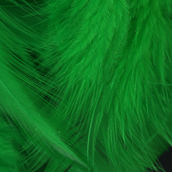 Metz plumas para hackle blando