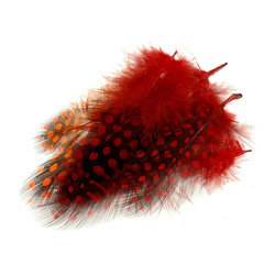 FFGene Plumas de pintada