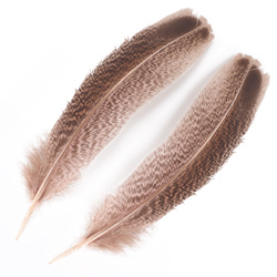 FFGene Plumas de ala de pavo moteadas