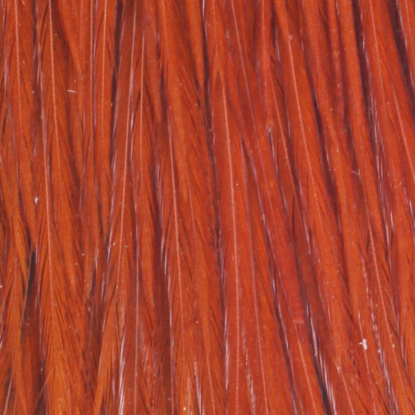 Capa de plumas del cuello de gallo Metz #2