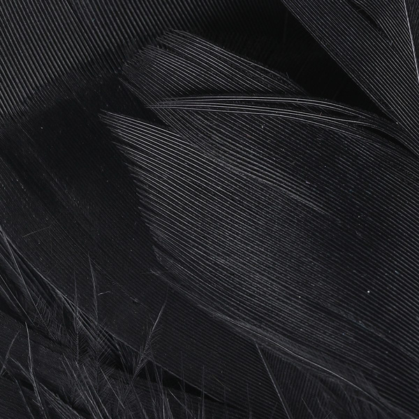 Hareline Plumas para hackle de soporte Intruder