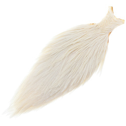 Cuello de gallo de calidad comercial FFGene