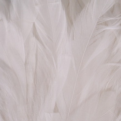 Hareline Plumas schlappen 5-7