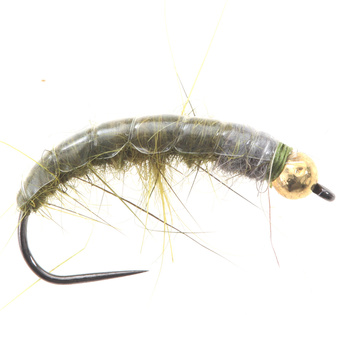 Tungsteno BH Pulido Hydropsyhe Oliva