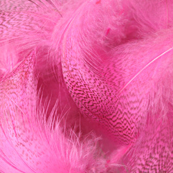 Hareline Plumas del flanco de ánade real