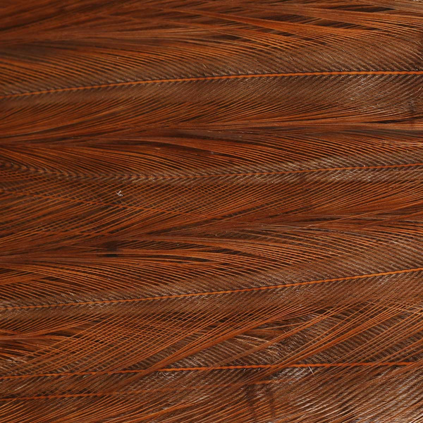 Ewing parche de plumas Deceiver teñidas