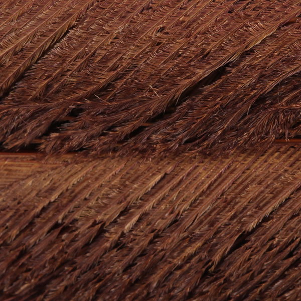 Plumas espada de cola de pavo real blanqueadas FFGene