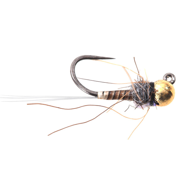 Plantilla Natural Quill