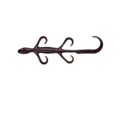 Señuelo blando Yum Lizard YL6 de 15.2 cm (10 unidades)