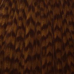 Sección superior teñida del cuello de gallo Ewing