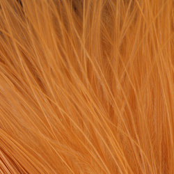 Marabú FFGene Wooly Bugger Blood Quill (7-10 cm)