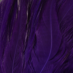 FFGene Plumas de colgadera en ristra