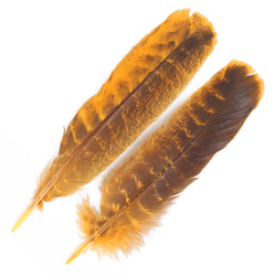 FFGene Plumas de ala de pavo Ozark
