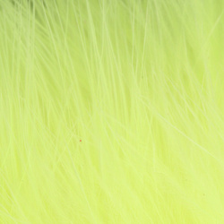 Marabú Blood Quill FFGene (10-12 cm)