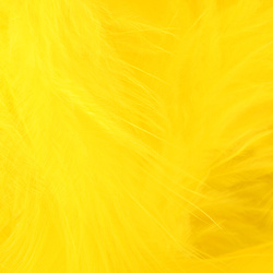 Metz plumas para hackle blando