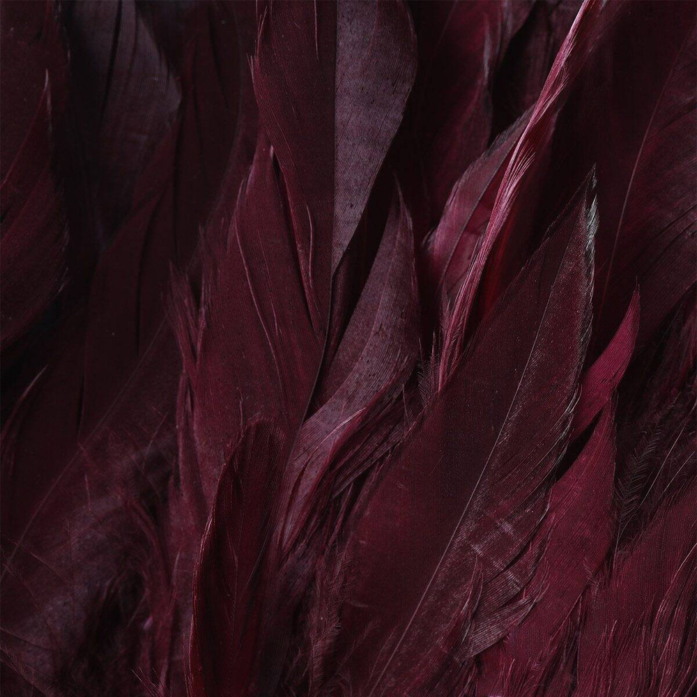 Dark Claret
