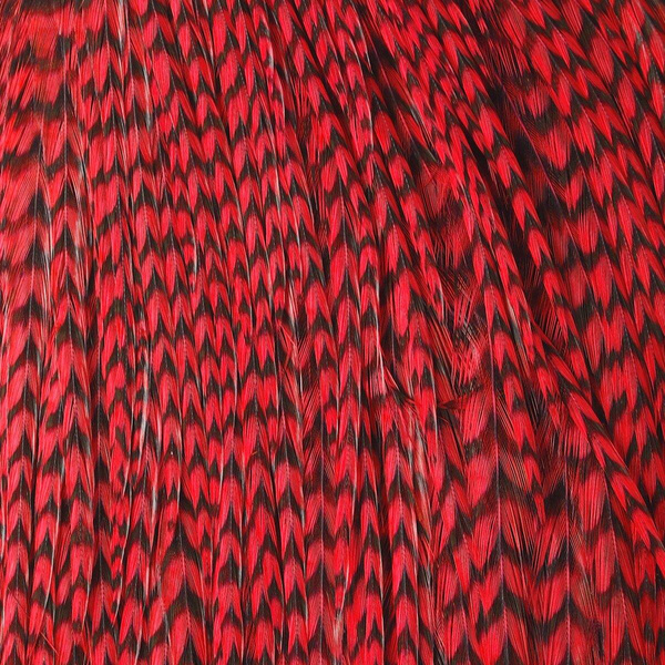 Hareline medio cuello de plumas