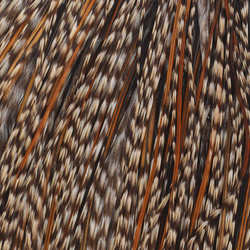Capa de plumas del cuello de gallo Whiting Hebert Bronze