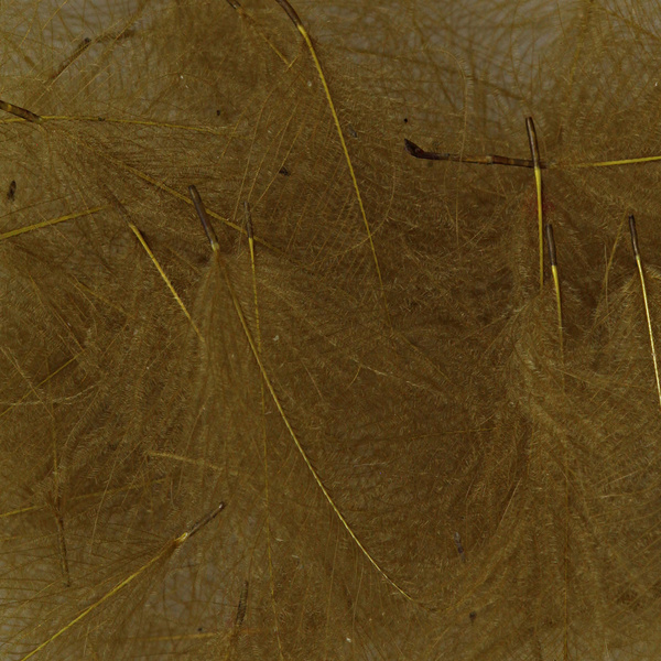 Hareline Plumas de CDC