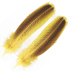 FFGene Plumas de ala de pavo moteadas