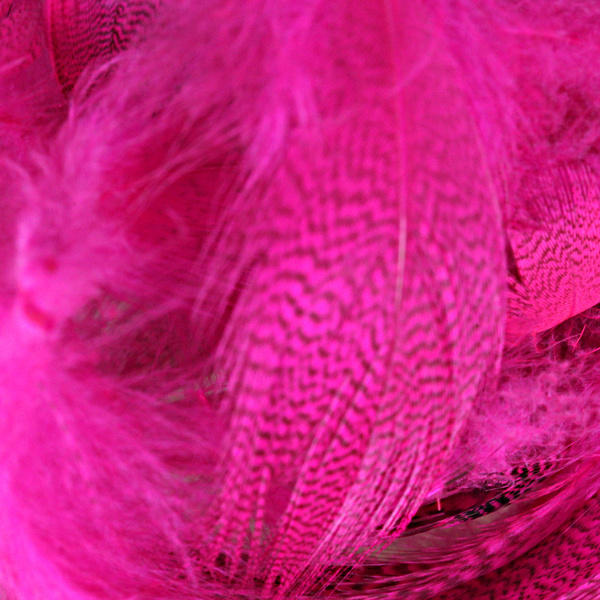Hareline Plumas del flanco de ánade real