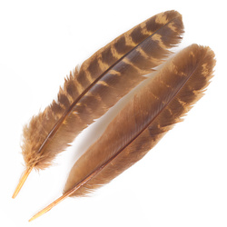 FFGene Plumas de ala de pavo Ozark