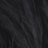 Black Raven