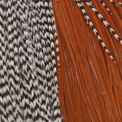 Capa de plumas del cuello de gallo Metz #2
