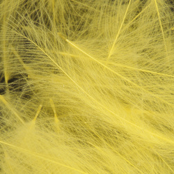Wapsi Plumas CDC (cul de canard)