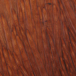 Wapsi Select Sections: parche de plumas de la base del cuello de gallo