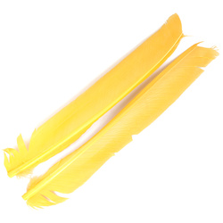 FFGene Biots de pluma de pavo