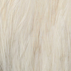 Wapsi cuello de gallo para moscas secas