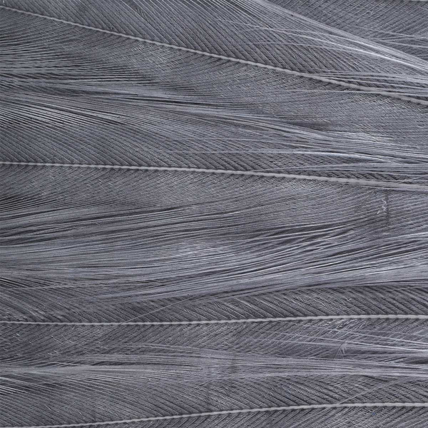 Ewing parche de plumas Deceiver teñidas