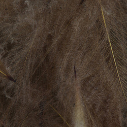 FFGene Paquete Jambo de plumas CDC teñidas - 1 gr
