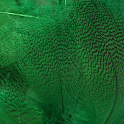 Hareline Plumas del flanco de ánade real