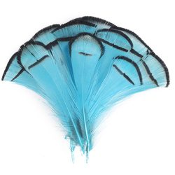 FFGene Plumas del cuello de faisán de Lady Amherst