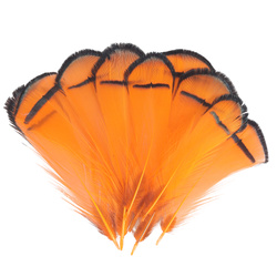 FFGene Plumas del cuello de faisán de Lady Amherst