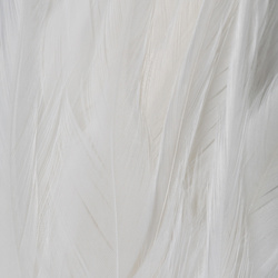 FFGene Plumas de colgadera en ristra