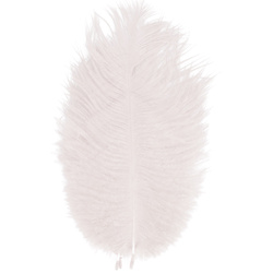 FFGene Plumas de avestruz para hackle
