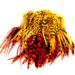 FFGene plumas de colgadera de gallo Chinchilla