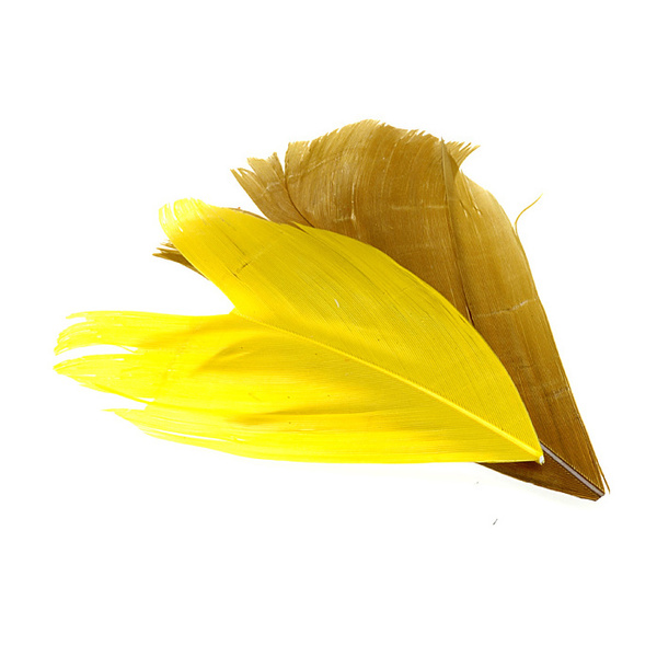 FFGene Cóndor Sustituto