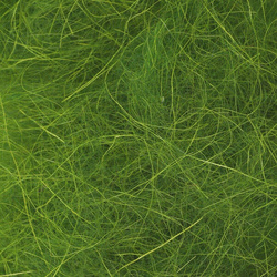 Doblaje de cabra de cachemira FFGene