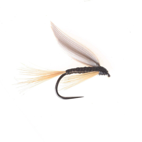 Pluma de jengibre