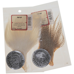 Sección de la punta del cuello de gallo Ewing, teñida
