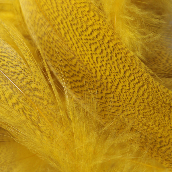 Hareline Plumas del flanco de ánade real