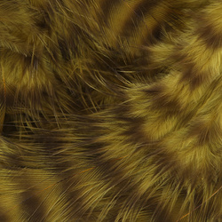 Hareline Grizzly plumas para hackle blando
