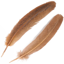 FFGene Plumas de ala de pavo moteadas