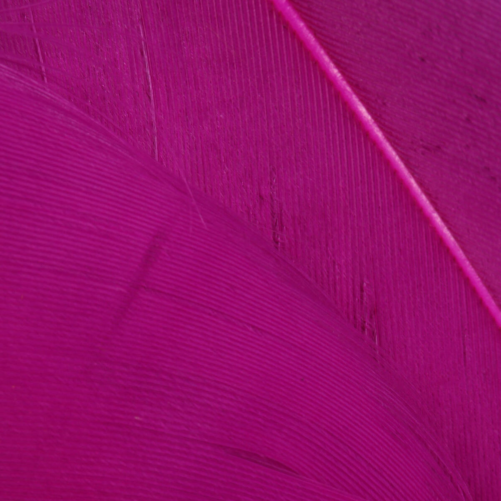 Magenta
